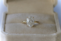Élite Oval Diamond Pavé Set